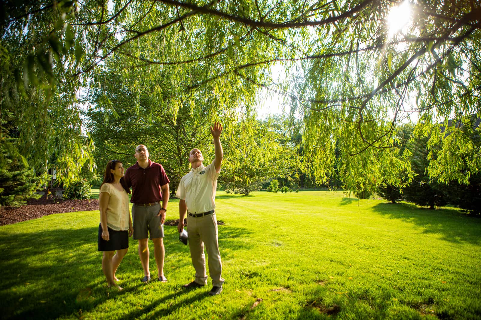 Completed tree care projects in Charlotte NC