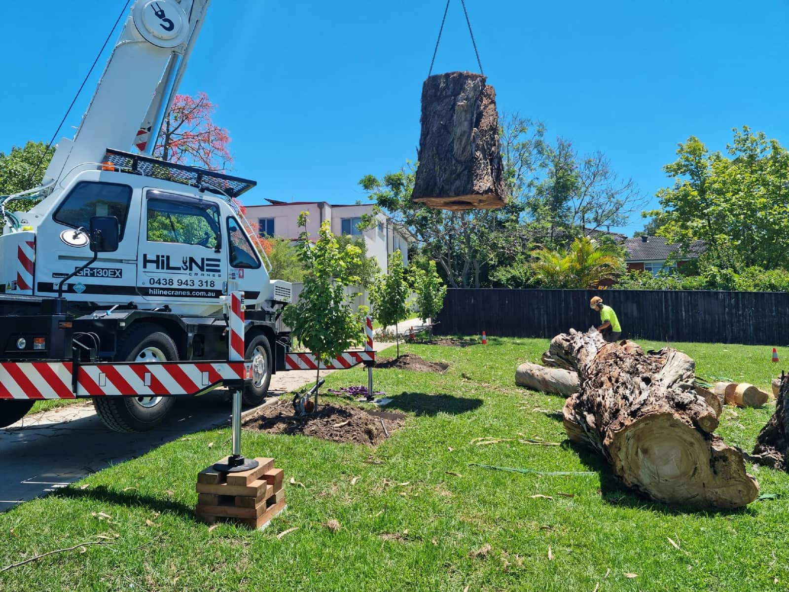 Tree removal service Charlotte NC